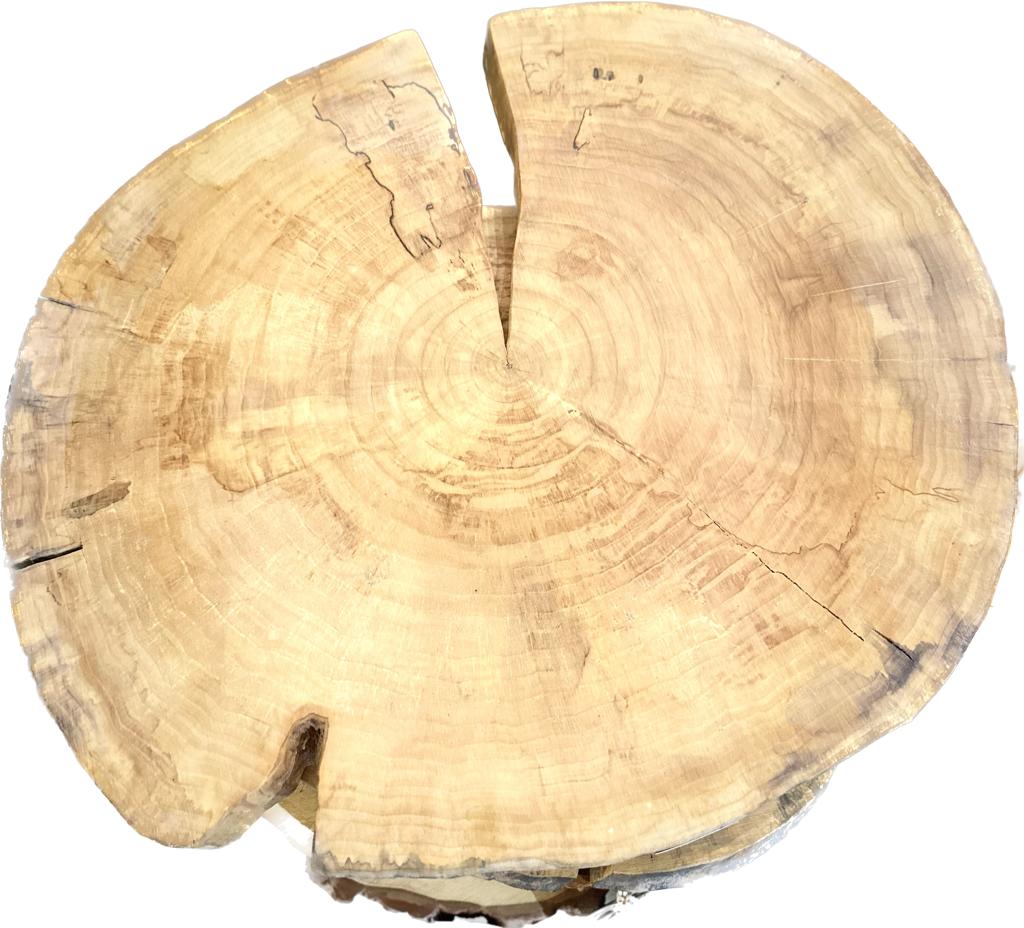 Elm coffee table